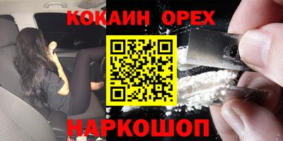 гашик Аргун