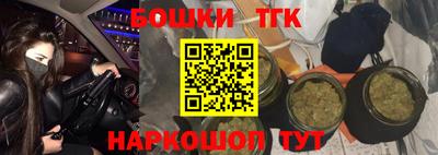 гашик Аргун