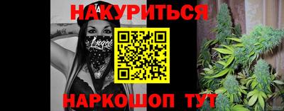 гашик Аргун