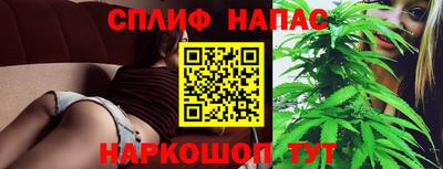 гашик Аргун