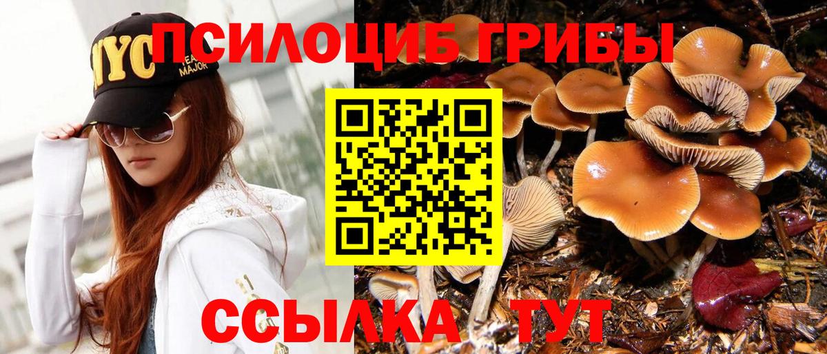 Псилоцибиновые грибы прущие грибы  что такое   Вязники  Псилоцибиновые грибы Psilocybine cubensis  Вход с VPN 